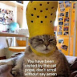 Meet your Posher, Hamdan